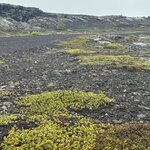 Photo taken by Dawn S