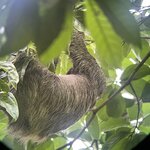 Photo taken by Kozue N