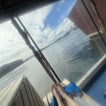 Photo taken by Grace S