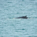 Photo taken by Amanda D