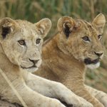 Photo taken by Kristin M