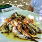 Photo taken by Ronit R