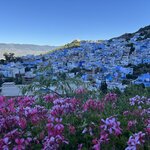 Photo taken by Paula H