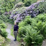 Photo taken by Barb S