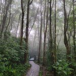 Photo taken by Chaitra P