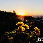 Photo taken by Aaron L