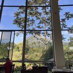 Photo taken by Victoria C