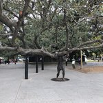 Photo taken by Deborah M