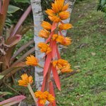 Photo taken by Touraj K