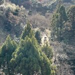 Photo taken by Debbie G