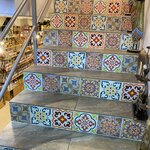 Photo taken by Bincy P