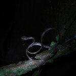 Photo taken by Brett F