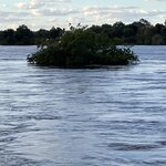 Photo taken by rhonda c