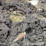 Photo taken by Jayme B