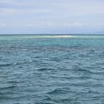 Photo taken by Dan J