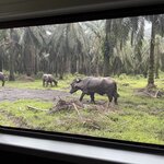 Photo taken by katie u