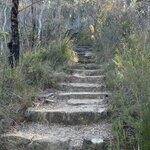 Photo taken by Amy W