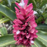 Photo taken by Hannah S