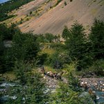 Photo taken by timothy m