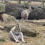 Photo taken by Susan C