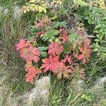 Photo taken by Marcos M