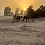 Photo taken by Alan L