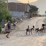 Photo taken by Mike B