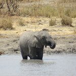 Photo taken by Kristin M