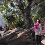 Little temple on a little island on Lake Phewa | Photo taken by Subha N