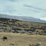 Photo taken by vedamoorthy s