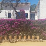 At the Jardi Botanic de Cap Roig | Photo taken by Carol P