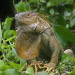 Photo taken by Dawne D