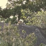 Photo taken by Kari I