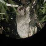 Photo taken by Eric A