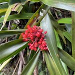 Photo taken by Alexia M