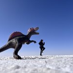 Photo taken by Shirley S