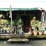 Photo taken by Anil C