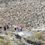 Photo taken by Sharon K