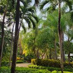 Photo taken by Kristy P