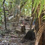 Photo taken by Marie B