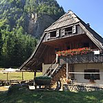 Photo taken by Jacqui B