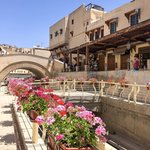 Photo taken by Kristy T