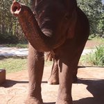 Photo taken by Michelle R