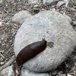 Photo taken by Laura H