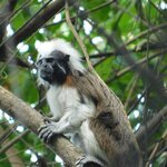 Photo taken by Brett F