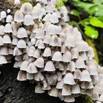 Photo taken by Andrea M