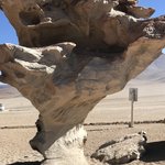 Photo taken by alton r