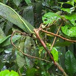 Photo taken by Darla D