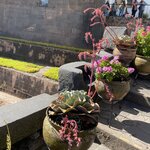 Photo taken by Amanda H