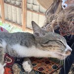 Photo taken by Petralina L